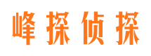 龙川市场调查